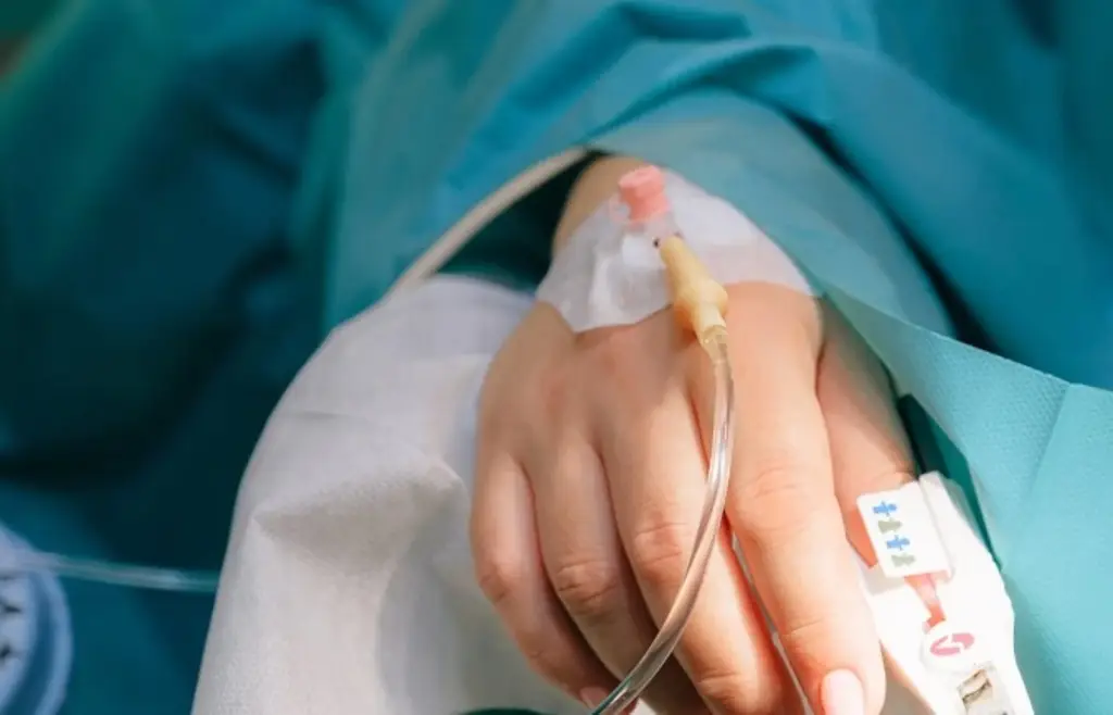 Imagen Logran cultivar tejido sano en un organismo, el primer paso para futuras terapias: Estudio