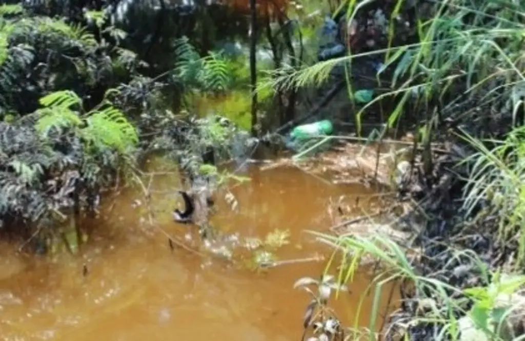 Imagen Reportan fuga de petróleo en pozo en Minatitlán, Veracruz 