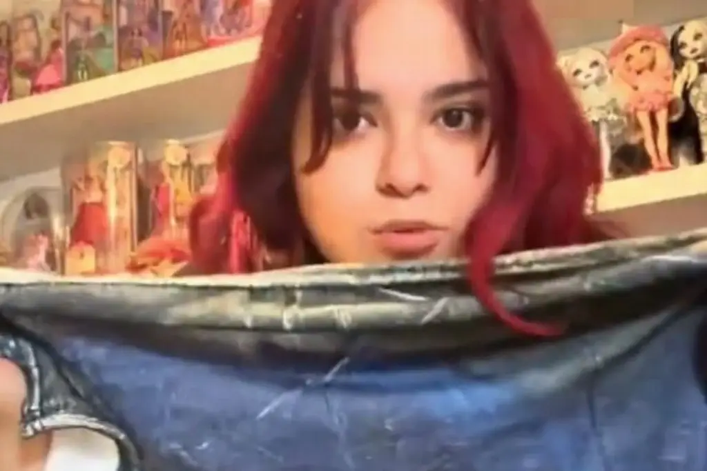 Imagen Plagian ilustración de Sahlarei para usarla como diseño de cobijas (+Video)