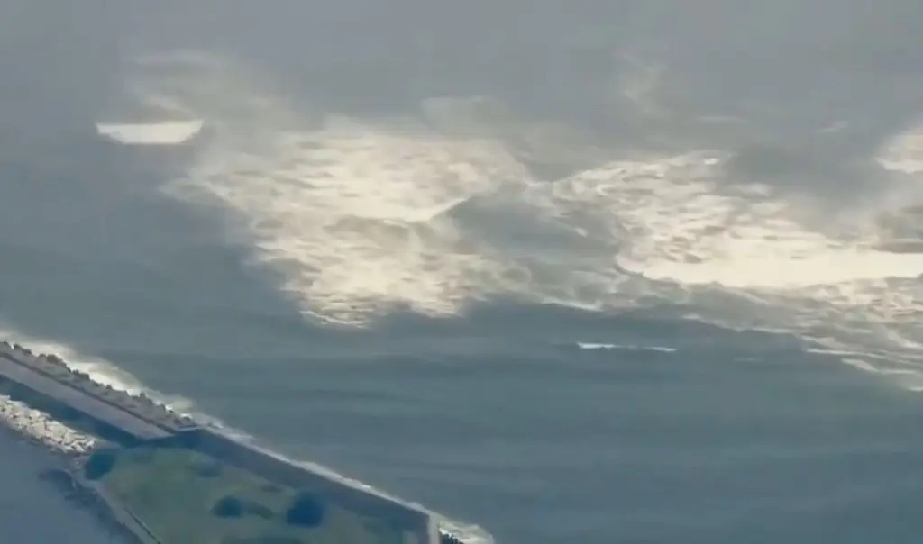 Imagen Primeras olas de tsunami impactan la costa de Japón tras sismo de 7.4 (+Video)