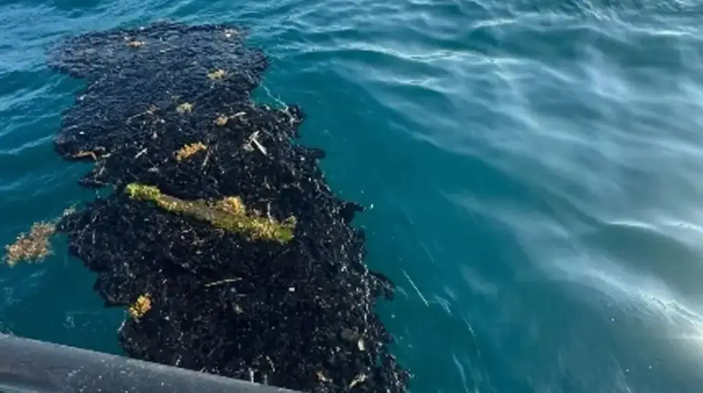 Imagen ¿Ocultamiento del derrame en el Golfo de México podría generar sanciones internacionales?