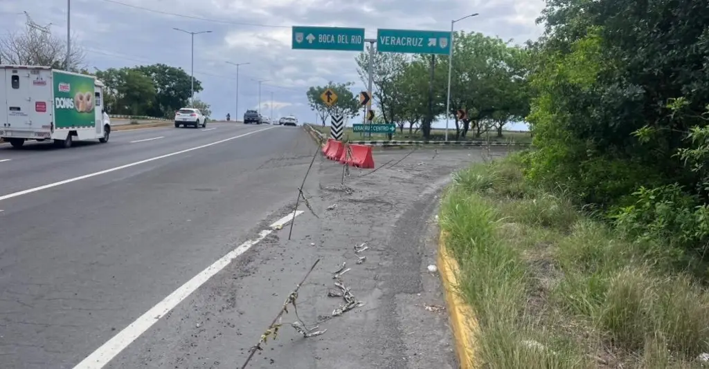 Imagen ¿Ya abrieron el acceso de la Cabeza Olmeca a Miguel Alemán en Veracruz?