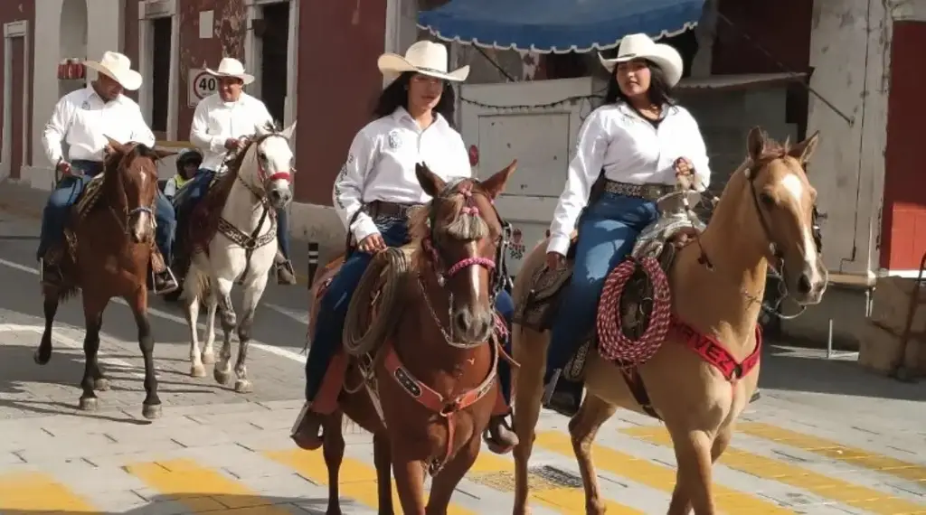 Imagen Más de 3 mil caballos participarán en 'megacabalgata' en Veracruz; conoce el recorrido