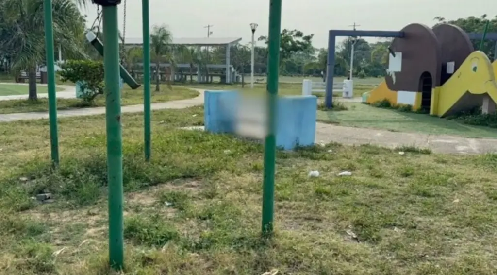 Imagen Hallan mujer sin vida en parque al sur de Veracruz 