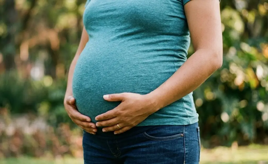 Imagen Científicos confirman caso de mujer embarazada de 2 hombres al mismo tiempo