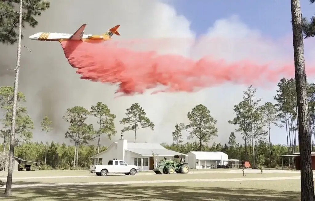 Imagen Así reconocen a brigadistas ante incendios en el sur de Georgia (+Video)