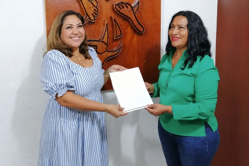 Imagen Deja el cargo la presidenta del DIF de Acapulco tras señalamientos por donaciones