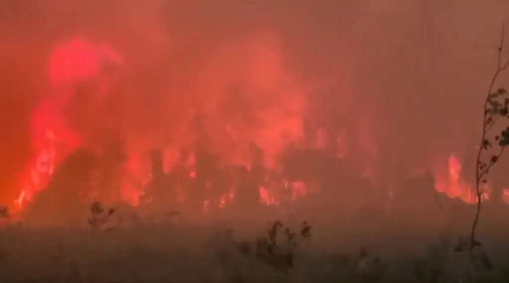 Imagen Incendios en Georgia y Florida arrasan más de 30 mil hectáreas de bosques y pastizales (VIDEO)