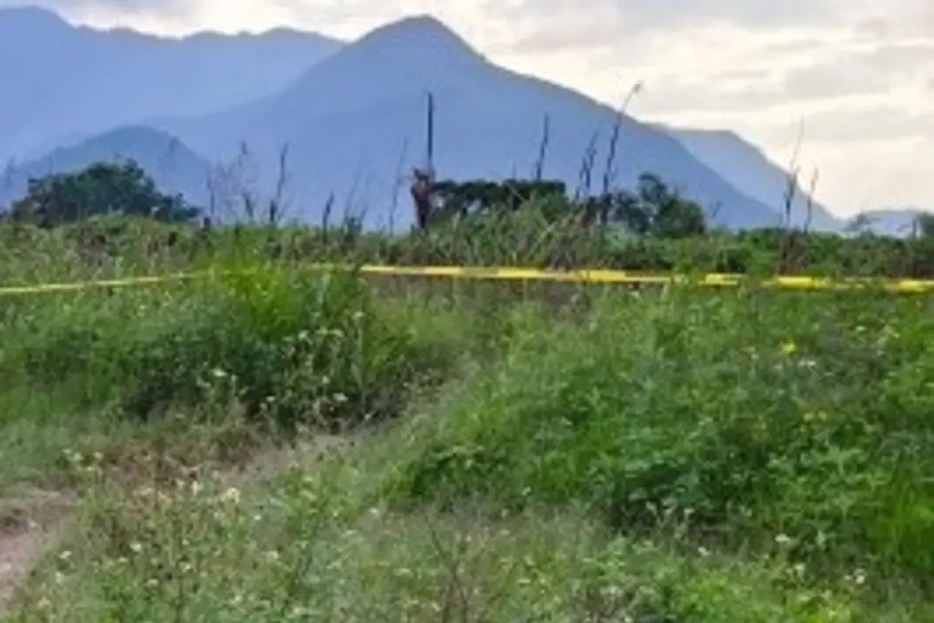 Imagen Hallan sin vida a joven en camino de terracería en Rafael Delgado, Veracruz 