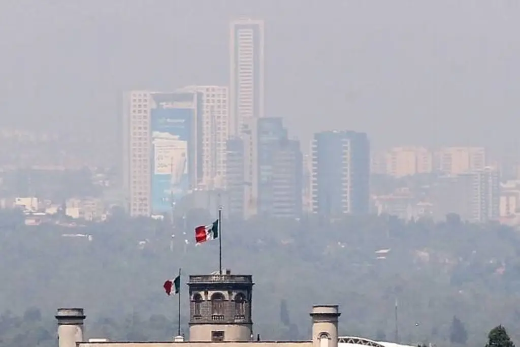 Imagen ONG advierte que crédito para siderúrgica puede agravar contaminación del aire en México
