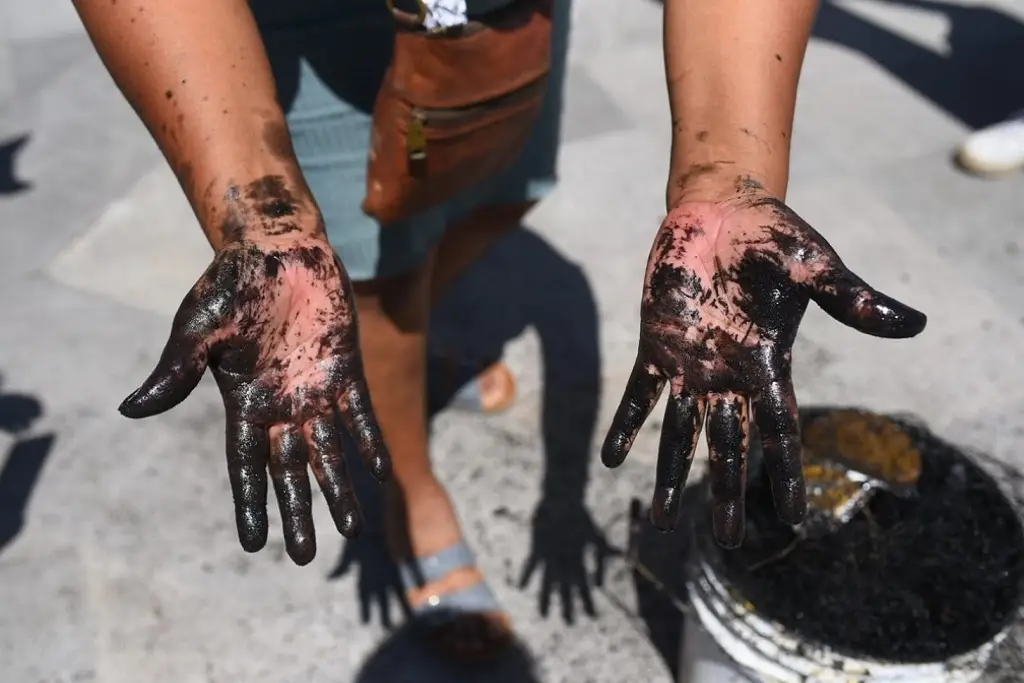 Imagen Sin pesca y sin apoyos: pescadores protestan en Xalapa tras derrame de petróleo