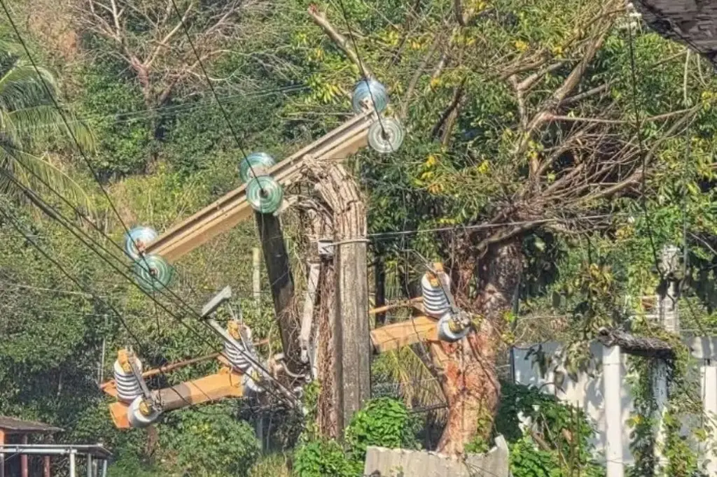 Imagen Tras apagones, CFE intensifica mantenimiento en infraestructura eléctrica en Veracruz 