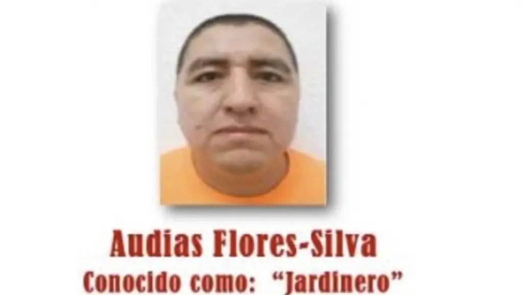 Imagen Jueza frena extradición de 'El Jardinero' a EU 