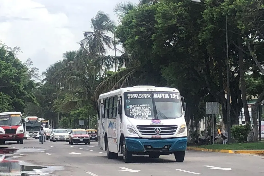 Imagen ¿Habrá camiones de pasaje el Día del Trabajo? 
