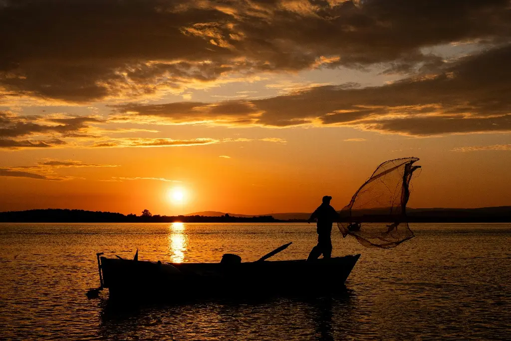Imagen Veracruz censará pescadores libres tras derrame; darán 4 mil pesos