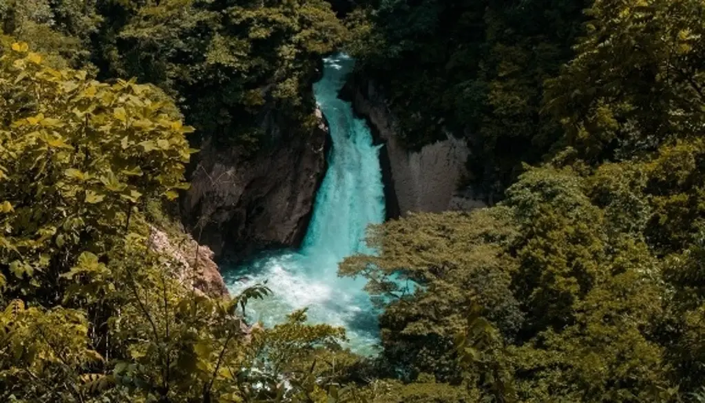 Imagen Muere menor de edad en cascada de río Atoyac, Veracruz; esto se sabe 