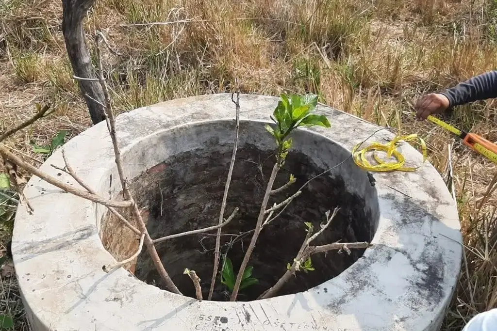 Imagen Hallazgo perturbador en un pozo de agua en Veracruz: los restos de una joven mujer