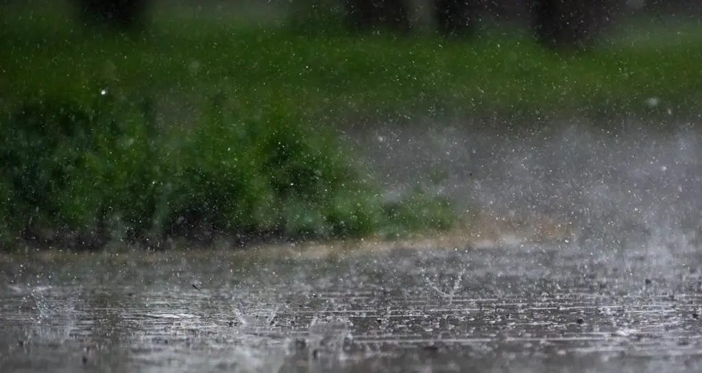 Imagen PC emite Alerta Climática para Veracruz, ¿Por qué? 