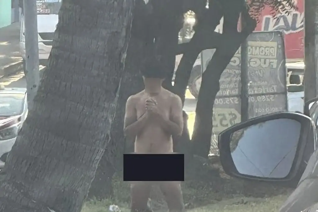 Imagen Reportan que deambula 'como Dios lo trajo al mundo', en calles de Veracruz
