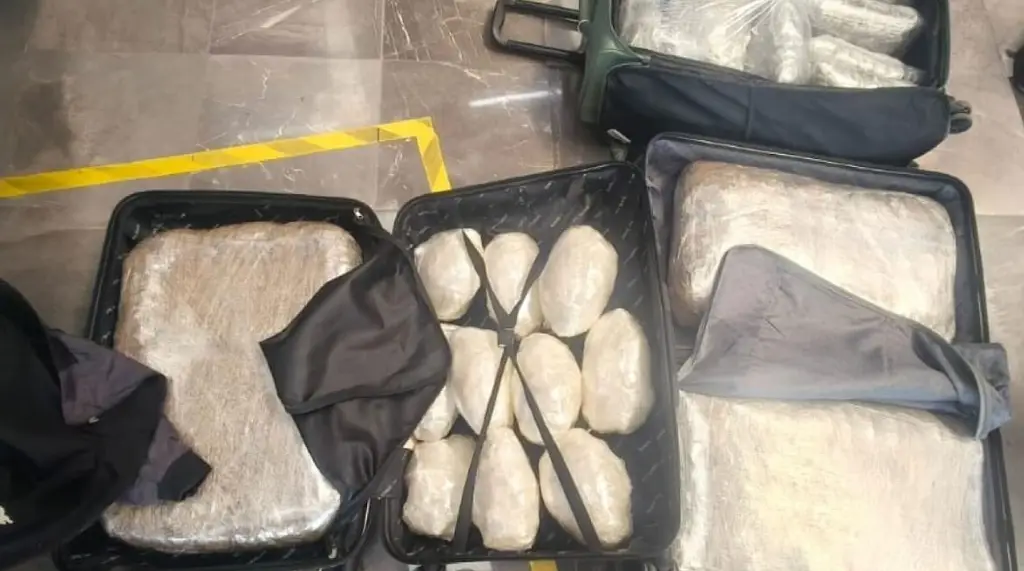 Imagen Detienen a joven; pretendía viajar con droga en autobús de CDMX a Veracruz 