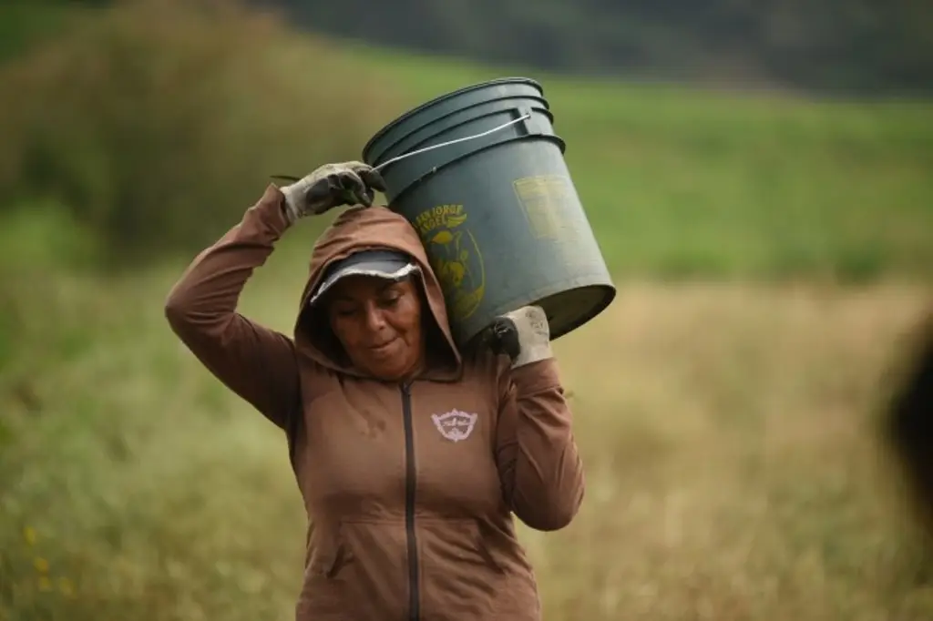 Imagen Madres mexicanas trabajan hasta 48 horas y ganan un salario mínimo