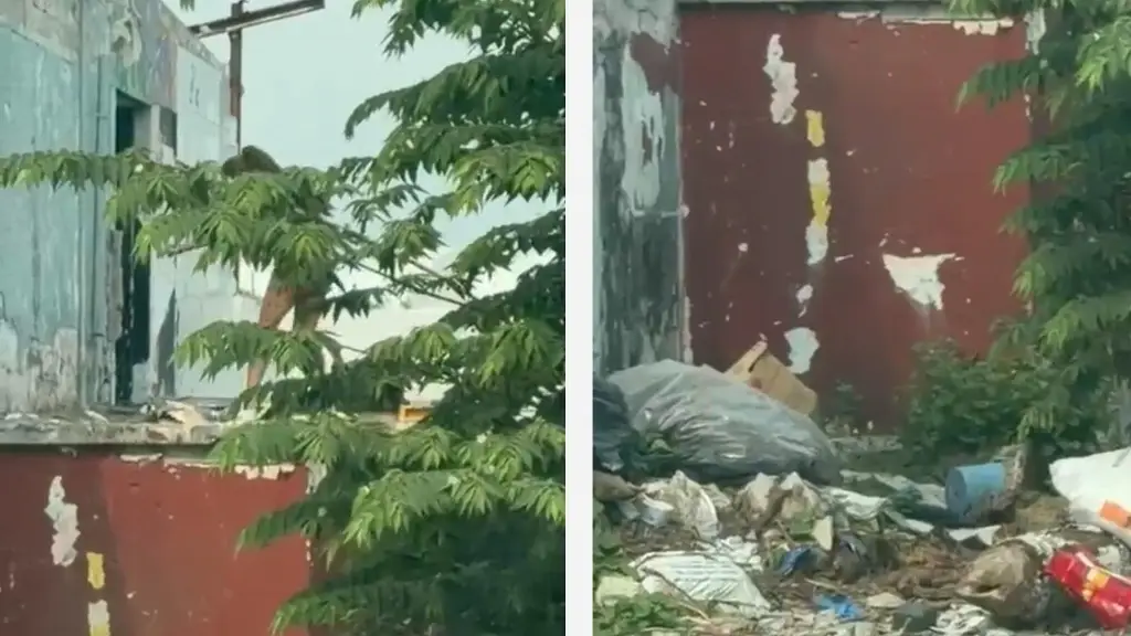 Imagen Indigentes invaden inmueble abandonado y luego cometen delitos en Veracruz