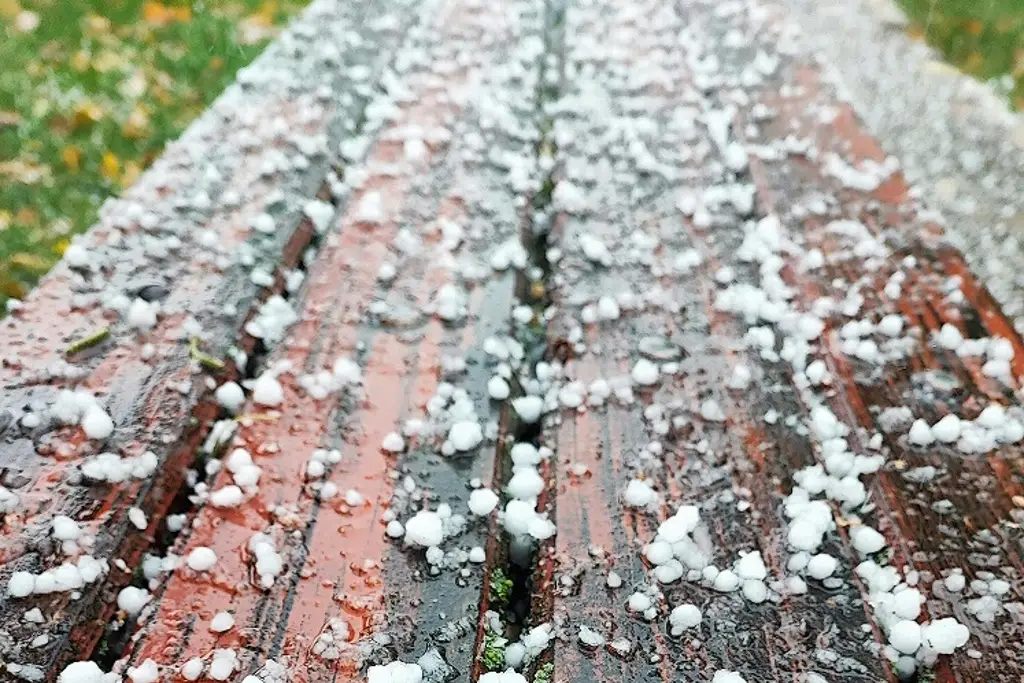 Imagen Granizo sorprende; Conagua explica por qué es un fenómeno poco común en Veracruz