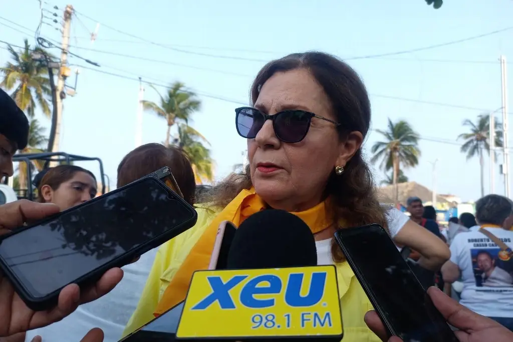 Imagen Colectivo Solecito de Veracruz señala déficit de identificación de desaparecidos