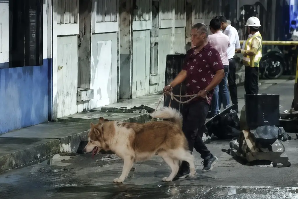 Imagen Incendio consume consultorio. Vecinos evitan tragedia y rescatan a perro 