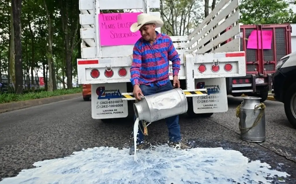 Imagen Productores de Naolinco, Xico y Acajete tiran leche en protesta; esto exigen