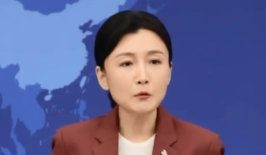Imagen China insta a EU a dejar de vender armas a Taiwán antes de la llegada de Trump