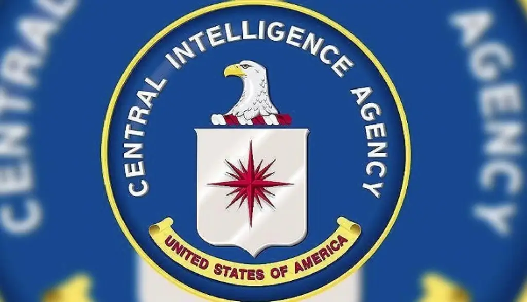 Imagen CIA no entró a México para eliminar a ‘El Payín’ pero ayudó a ubicarlo: The New York Times