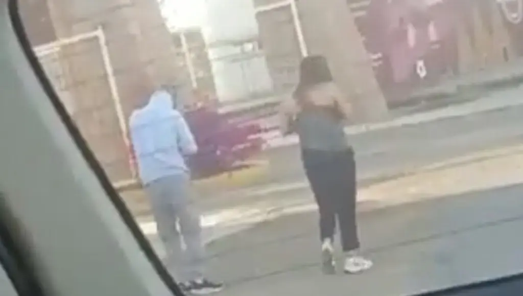 Imagen Muere magistrada Oyuki Ramírez tras ataque de abejas. Sacrificó su vida protegiendo la de su hijo