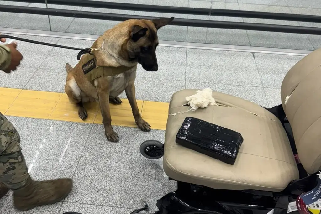 Imagen Aseguran casi 9 kilos de cocaína escondida en silla de ruedas en el AICM; hay un detenido 