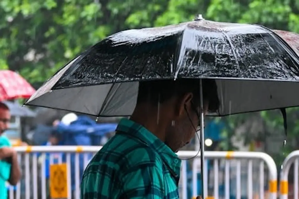 Imagen Prevén aumento en la probabilidad de lluvias y tormentas para Veracruz 