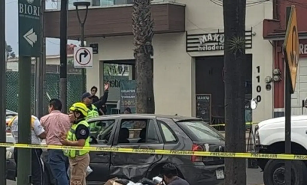Imagen Choque derriba palmera en Orizaba, Veracruz