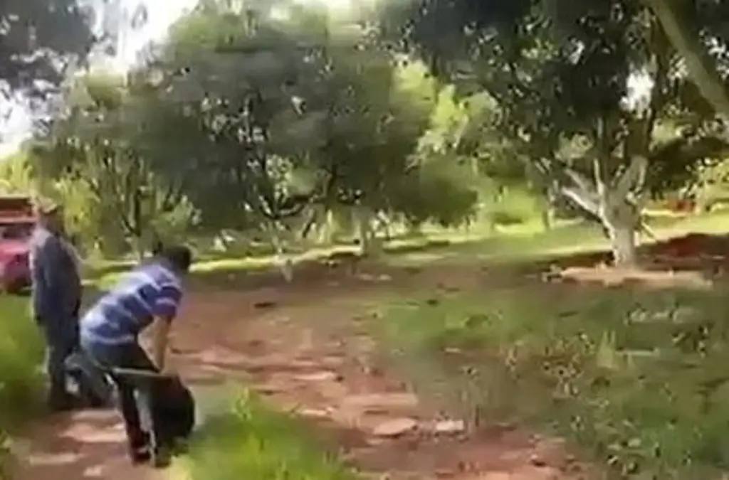 Imagen Que sea lo que Dios quiera: quedan atrapados en medio de balacera (+Video)