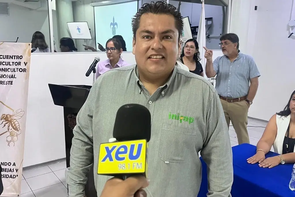 Imagen Veracruz es el cuarto productor de miel a nivel nacional