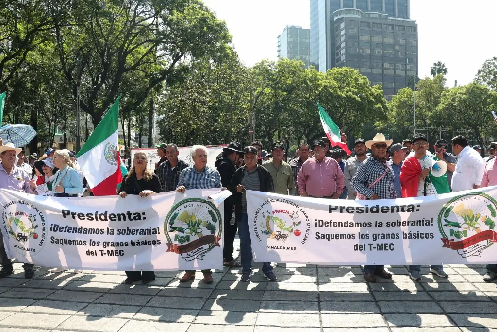 Imagen Agricultores amenazan con boicot al Mundial si Gobierno no atiende sus demandas