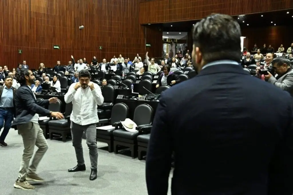 Imagen Rocío Nahle pide a Zenyazen Escobar conducirse con ética tras altercado en el Congreso local