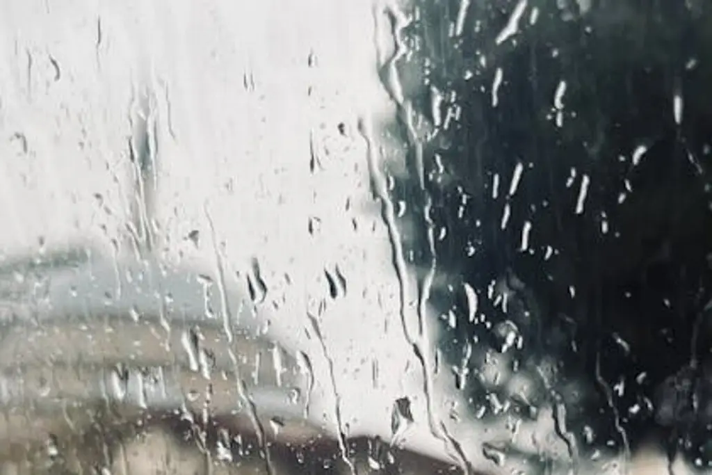 Imagen PC mantiene pronóstico de lluvias para Veracruz - Boca del Río; conoce qué días 