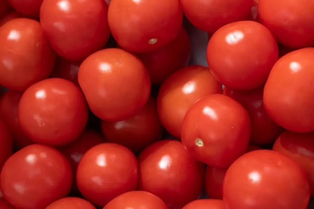 Imagen Golpe al bolsillo: tomate sigue caro y estos productos se dispararon en Veracruz