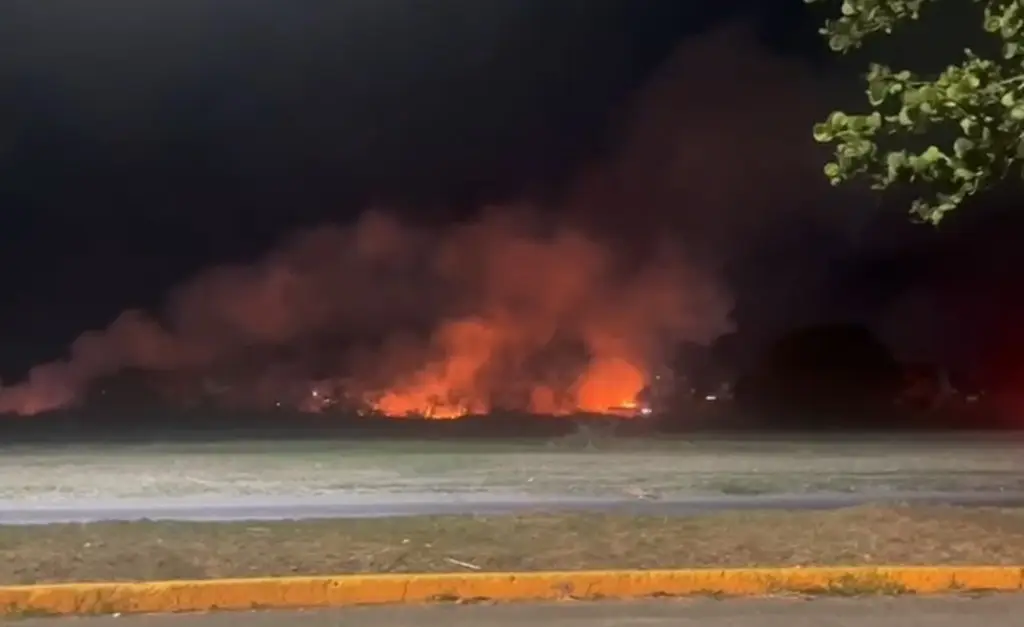 Imagen Se incendia pastizal en Puente Moreno 