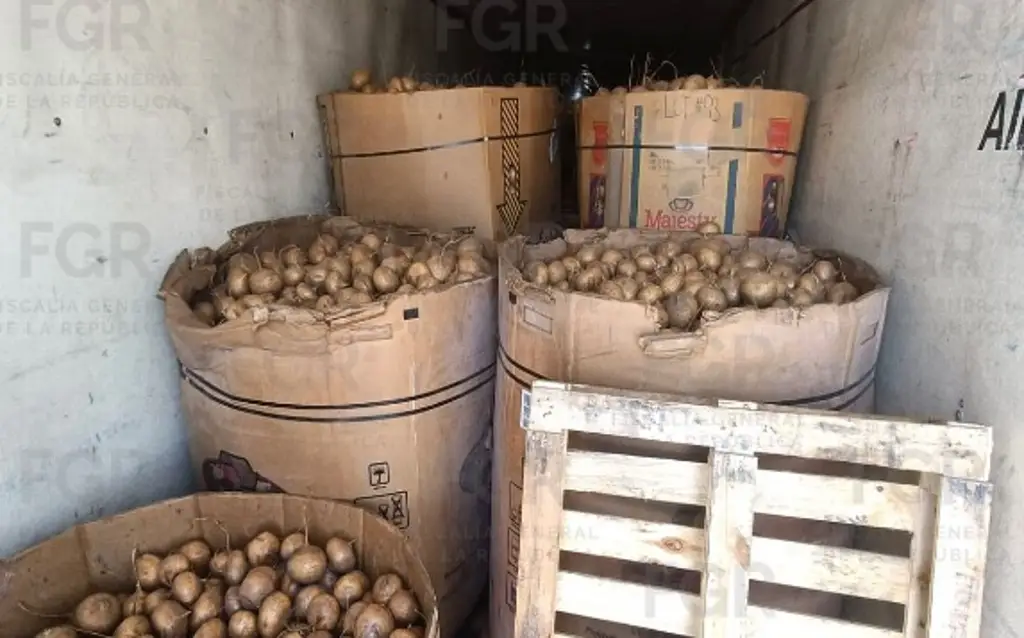 Imagen Entre contenedores con jícamas, hallan casi una tonelada de metanfetamina en Durango