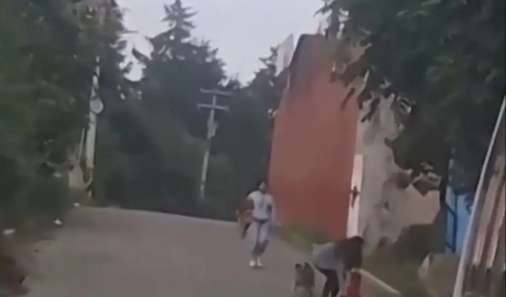 Imagen Gateaba completamente solo y a media calle (+Video) 