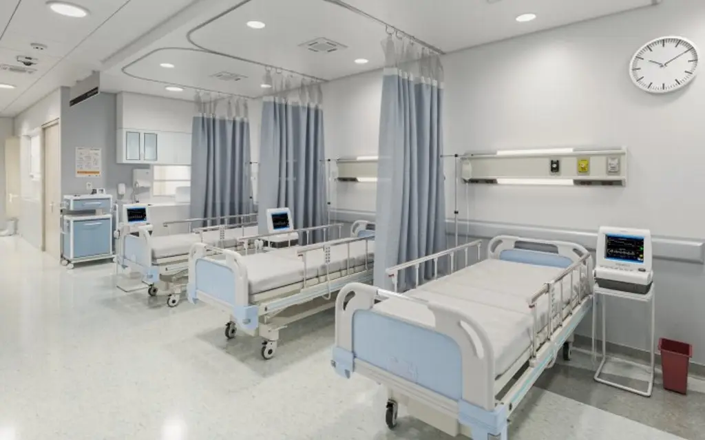 Imagen Veracruz segundo lugar nacional en casos de gusano barrenador en humanos: Salud