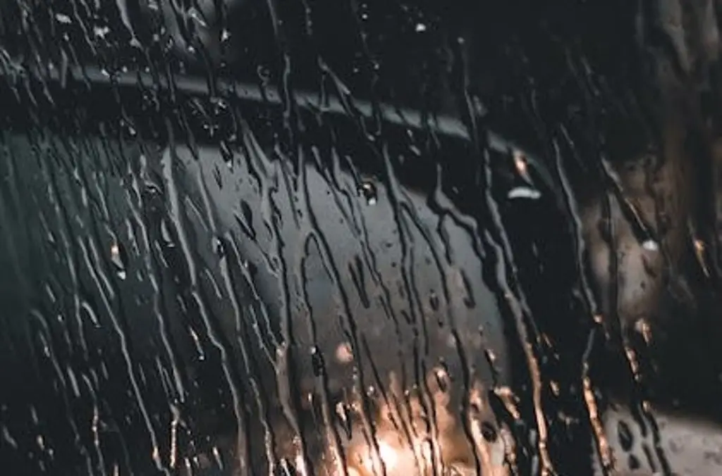 Imagen Esta cantidad de lluvia cayó en Boca del Río, según Conagua 