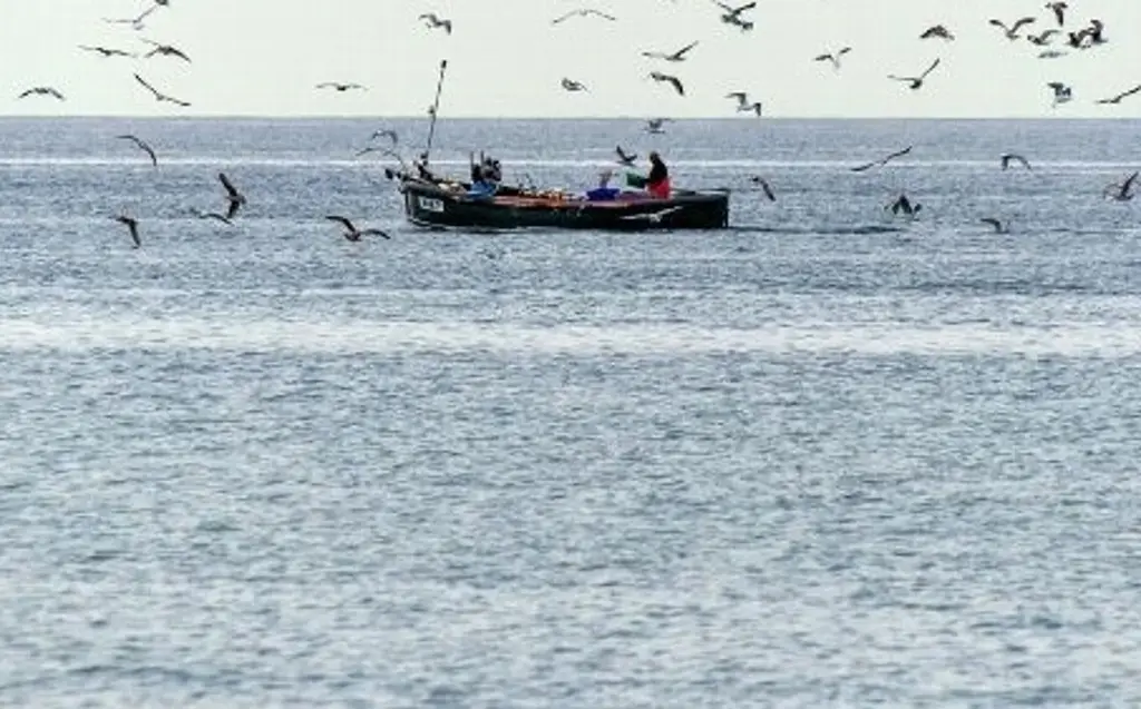 Imagen Pescadores reportan restos de petróleo en playas de Vega de Alatorre, Veracruz; esto se sabe