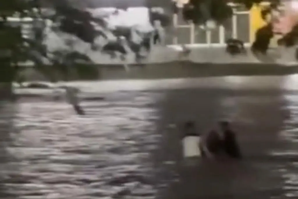 Imagen ¿Te atreverías a cruzar en moto una zona inundada de veracruz?