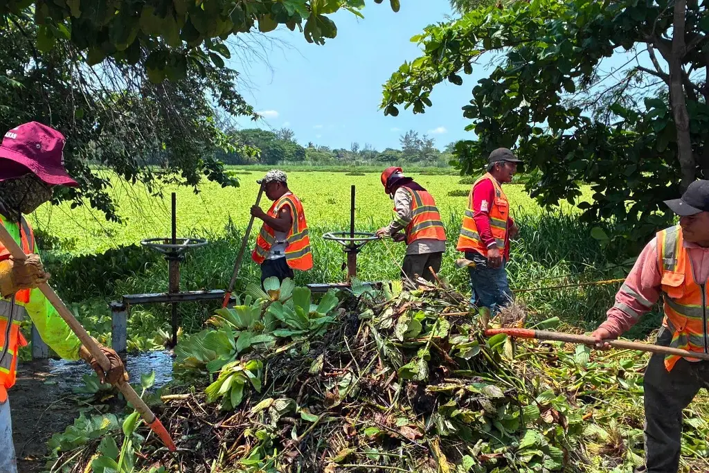 Imagen ¿Por qué desbordó la Laguna Lagartos? Esto encontraron 